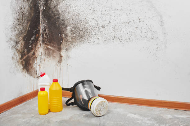 Best Crawl Space Mold Removal  in Lake Of The Pines, CA