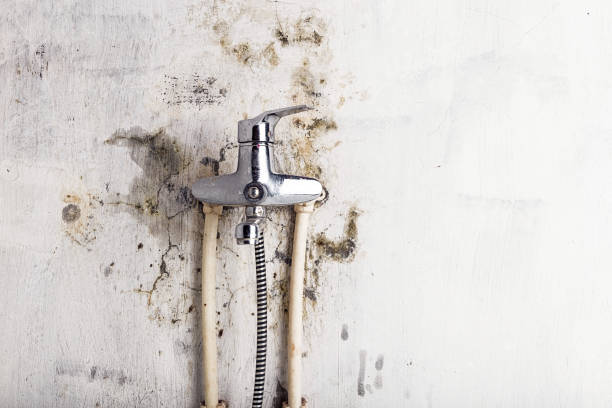 Best Emergency Mold Removal  in Lake Of The Pines, CA