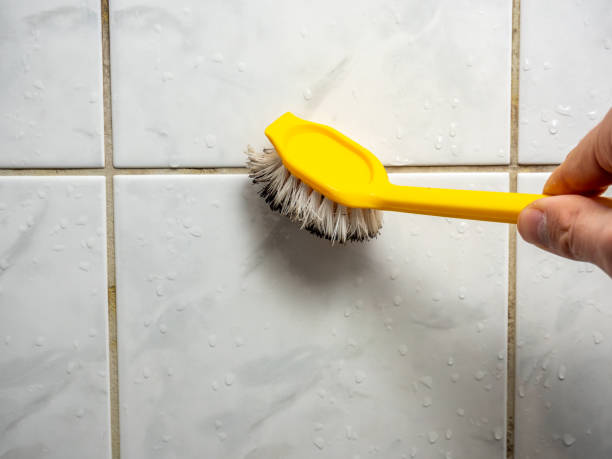 Best Professional Mold Removal  in Lake Of The Pines, CA