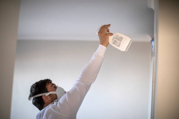 Crawl Space Mold Removal in Lake Of The Pines, CA