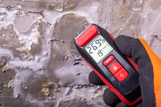 Mold Testing and Removal in Lake Of The Pines, CA