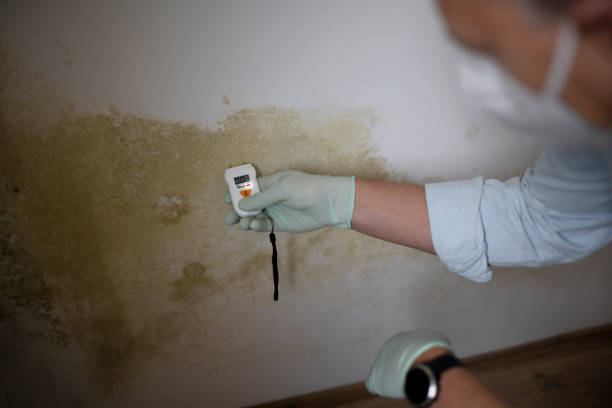 Best Mold Remediation  in Lake Of The Pines, CA