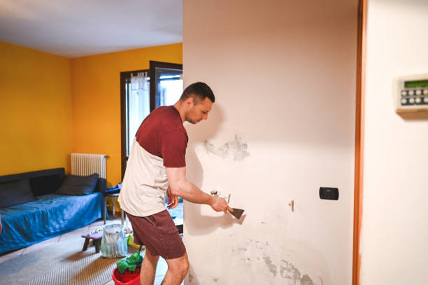 Best Attic Mold Removal  in Lake Of The Pines, CA