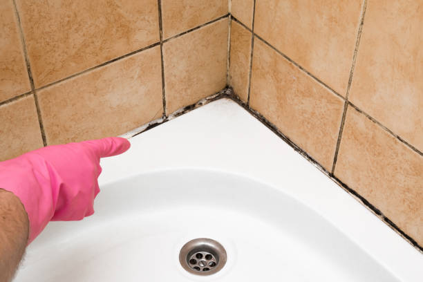 Best Local Mold Removal Service  in Lake Of The Pines, CA